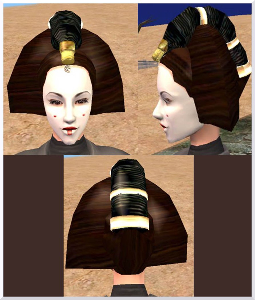 The Sims 2: Star Wars. CoiffereineSW1accessoiredetail
