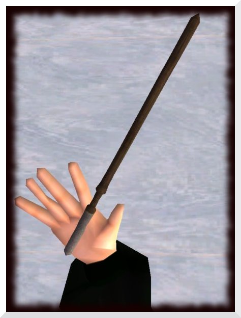 The Sims 2: Гарри Поттер. Bag%20Draco