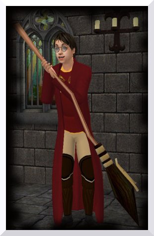 The Sims 2: Гарри Поттер. Balaihom