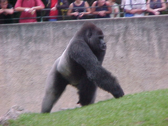 zoo03F.JPG