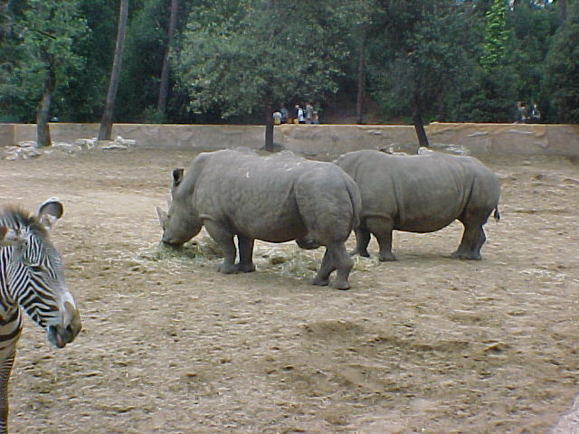 zoo04F.JPG