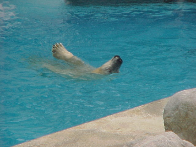 zoo06F.JPG