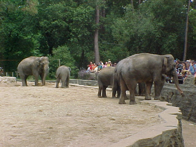 zoo07F.JPG