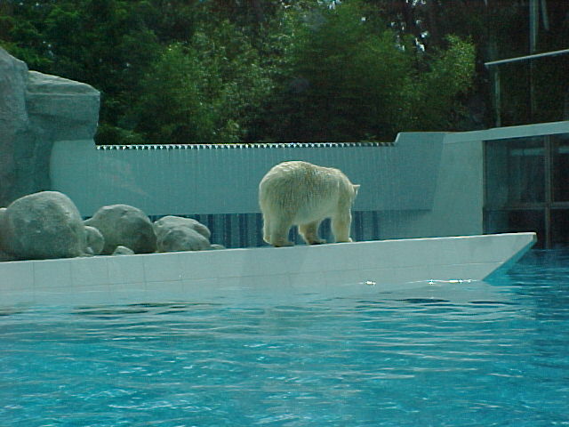 zoo09F.JPG