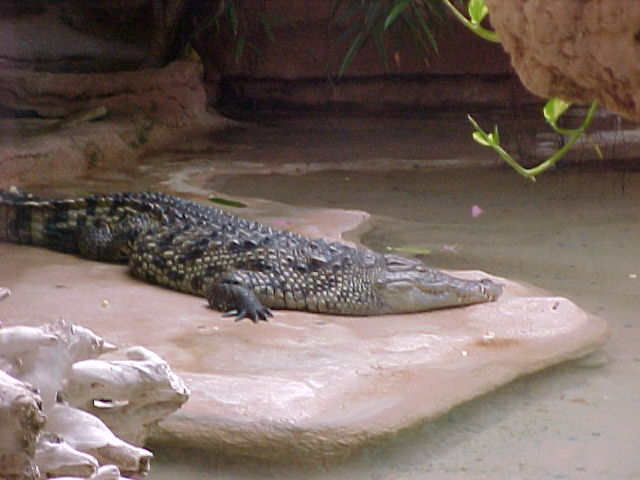 zoo12F.JPG