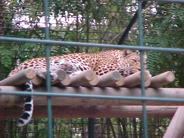 zoo16F.JPG