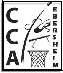 <marquee direction="ALIGN" scrollamount="7" height="10" bgcolor="#E2E4E6 " width="500">
<font face="Times New Roman" size="4">CCA EBERSHEIM
 </font></marquee>
