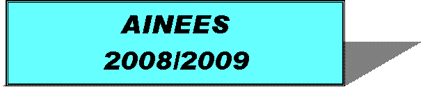 Zone de Texte: AINEES 2008/2009