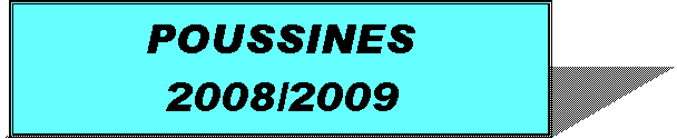 Zone de Texte: POUSSINES2008/2009