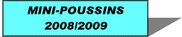 Zone de Texte: MINI-POUSSINS2008/2009