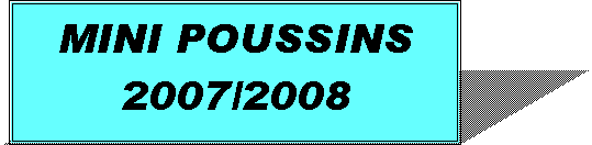 Zone de Texte: MINI POUSSINS2007/2008