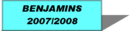 Zone de Texte: BENJAMINS2007/2008