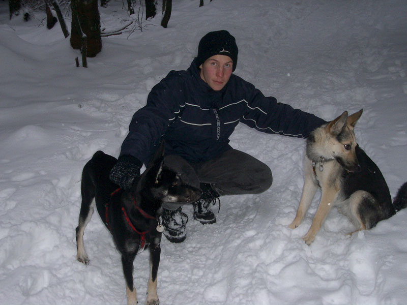 Chiens