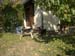 Chiens