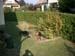 Chiens