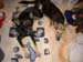 Chiens