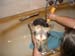 Chiens
