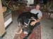 Chiens