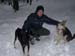 Chiens