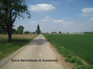 Entre Battenheim et Ensisheim