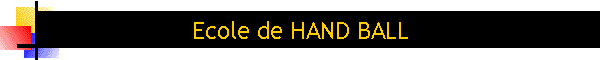 Ecole de HAND BALL