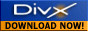 Tlcharger le lecteur de DIVX sur divx.com, c'est gratuit !