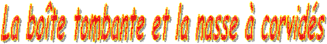 Votre texte ici