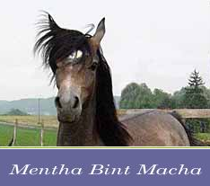 Mentha Bint Macha